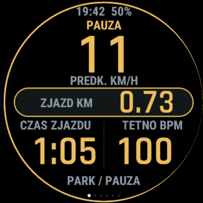 Pauza