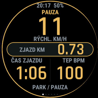 Pauza